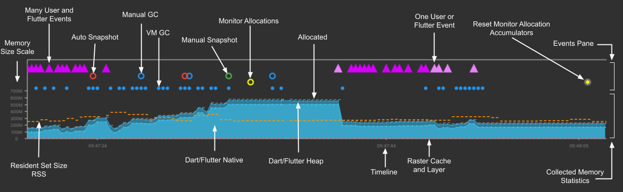 Screenshot of a memory anatomy page